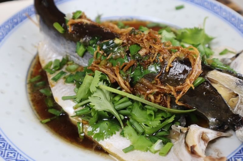 Steamed Patin Fish